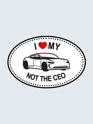 I Love My Tesla Not The CEO, Car Sticker, Bumper Sticker, Tesla