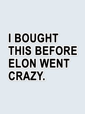 I Bought This Before Elon Went Crazy, Car Sticker, Bumper Sticker, Tesla